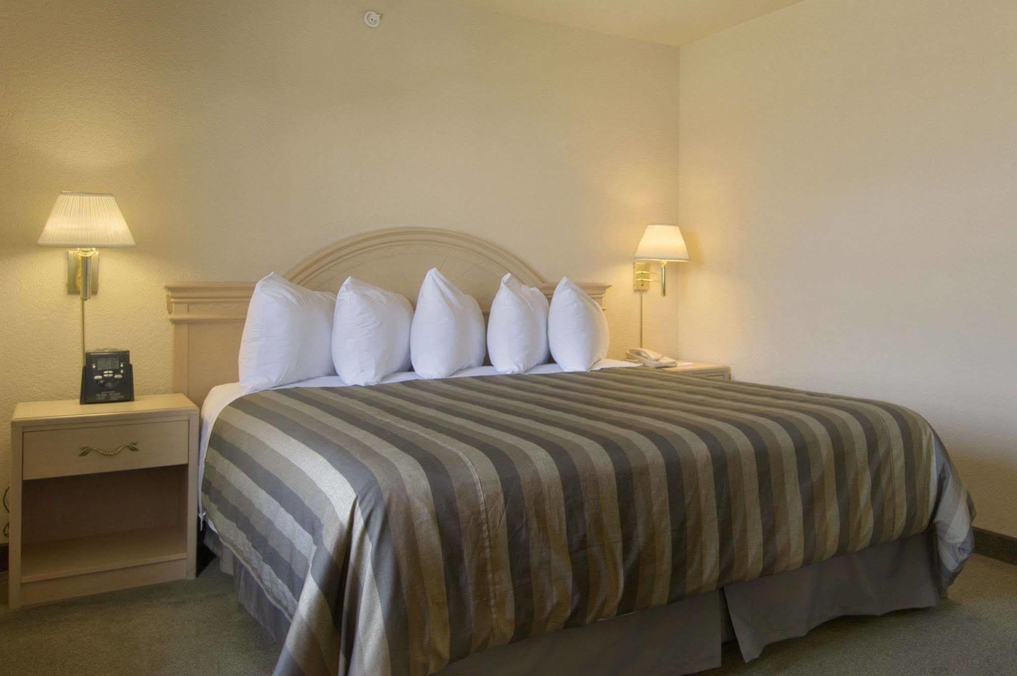 Days Inn By Wyndham Calgary Airport Phòng bức ảnh